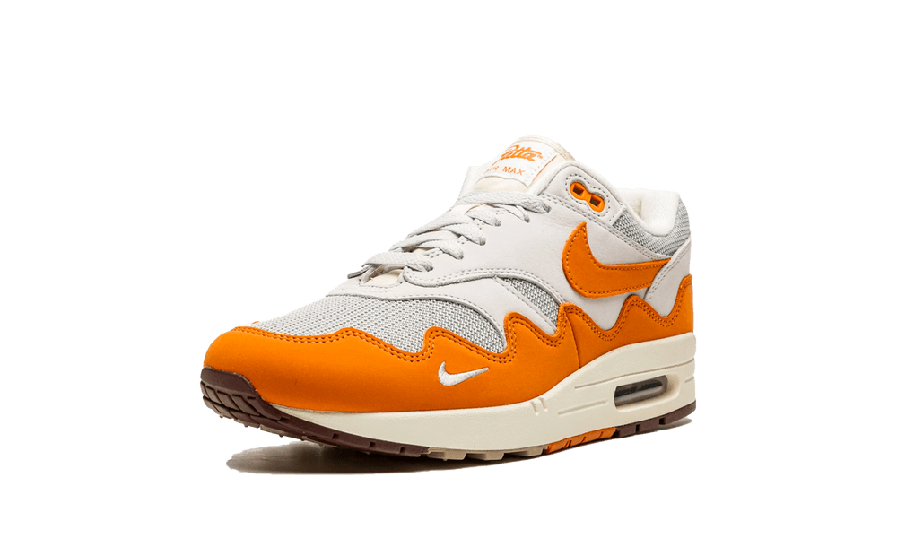 Nike Air Max 1 Patta Waves Monarch
